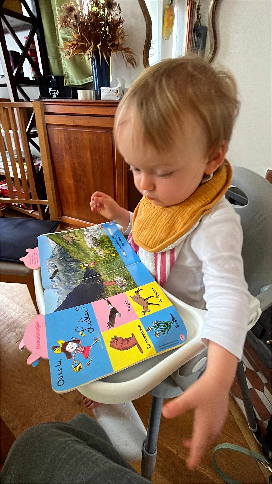 Sébastien participe au concours pour gagner de l'argent avec cette photo : toddler, child, high_chair, book, reading, bib, indoor, wooden_furniture, table, floor, person, baby, curious, colorful, picture_book, home, decor, seated, hand, clothing