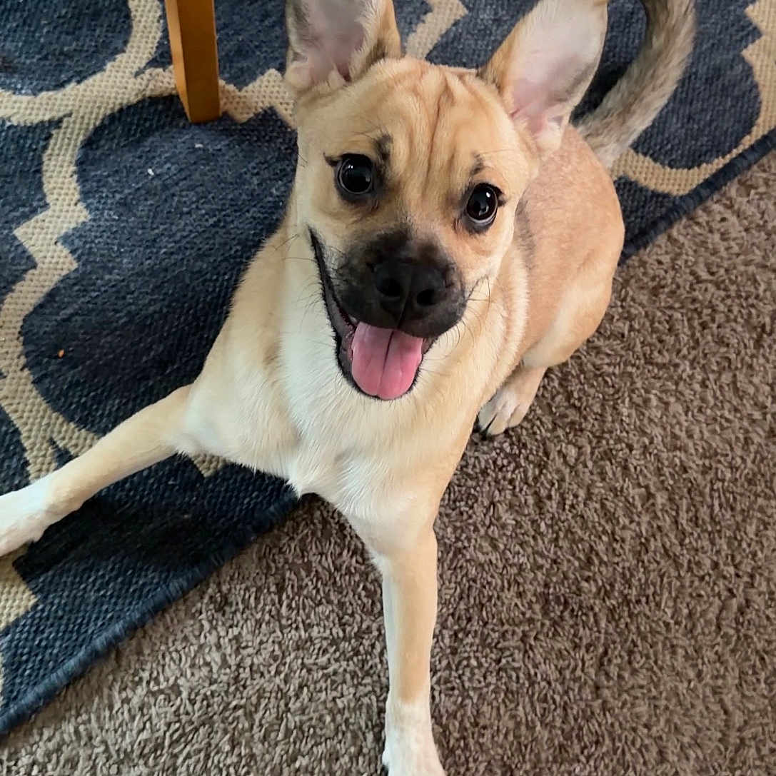 Milo