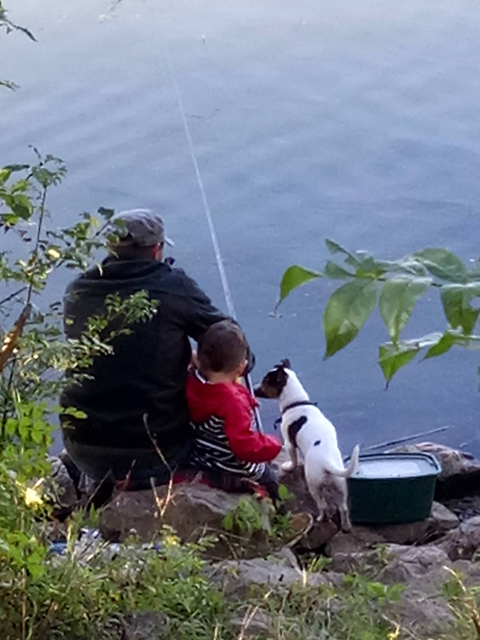 Ulka participe au concours pour gagner de l'argent avec cette photo : adventure, angling, carnivore, companion_dog, dog, dog_breed, fisherman, fishing, fishing_rod, grass, lake, leisure, plant, recreation, recreational_fishing, shorts, sitting, sporting_group, water, working_animal