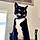 Binx