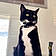 Binx