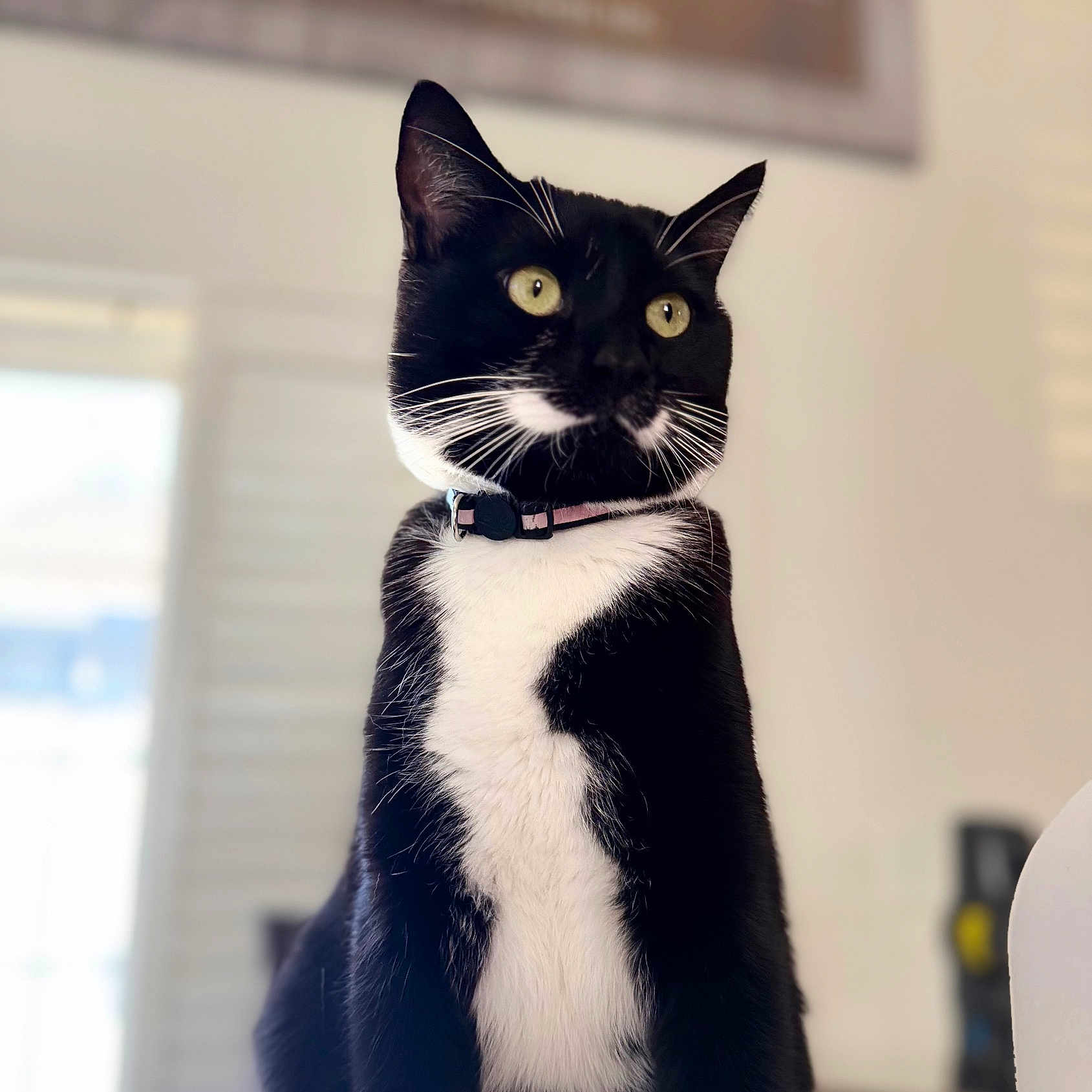 Binx