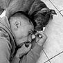 man, dog, sleeping, floor, tile, indoor, black_and_white, closeup, companion, resting, friendship, casual, hoodie, pet, animal, human, relaxation, bond, quiet, peaceful