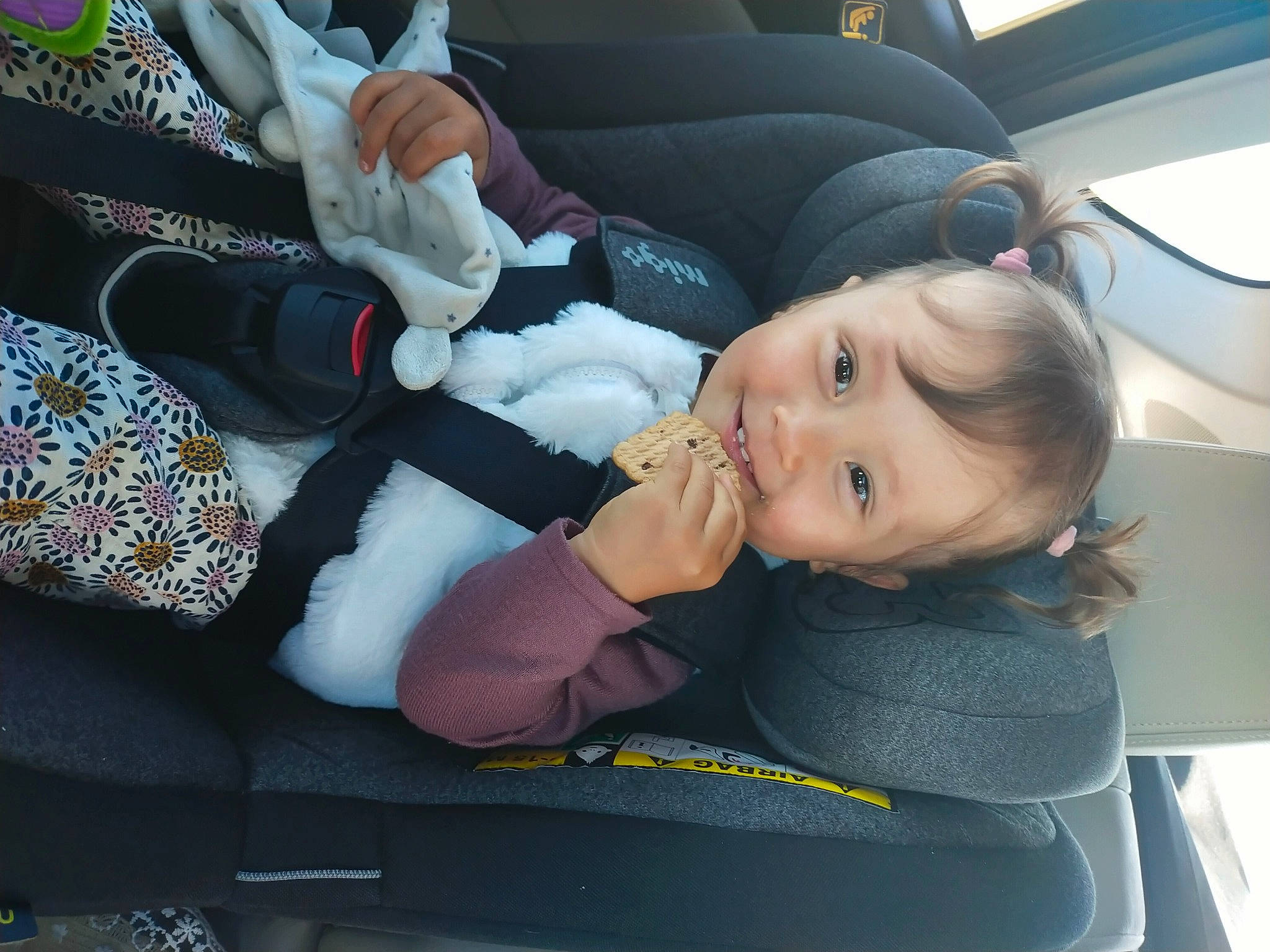 Andréa participe au concours pour gagner de l'argent avec cette photo : auto_part, automotive_design, baby_carriage, car_seat, car_seat_cover, child, comfort, family_car, fun, head_restraint, lap, luxury_vehicle, motor_vehicle, passenger, person, seat_belt, smile, toddler, travel, vehicle