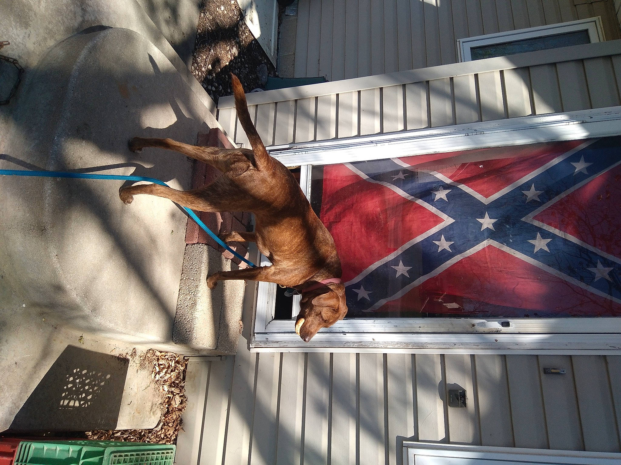 Brownie is registered to the contest to win money with this photo: building, facade, font, house, metal, pattern, plant, roof, shadow, street, tints_and_shades, tree, twig, window, wood