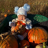 Ronnie Trevor is registered to the contest to win money with this photo: autumn, baby, child, clouds, cute, field, harvest, hat, mittens, nature, orange, outdoor, portrait, pumpkin, seasonal, sky, smiling, striped_pants, wheelbarrow, white_pumpkin
