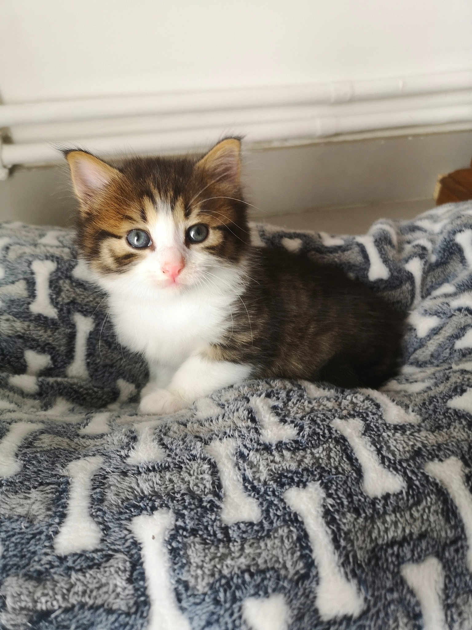 Tina
