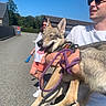 dog, man, woman, sunglasses, outdoor, sunny, blue_sky, leash, holding, smiling, road, building, casual_clothing, shorts, tshirt, happy_dog, tongue_out, walking, summer, shadow