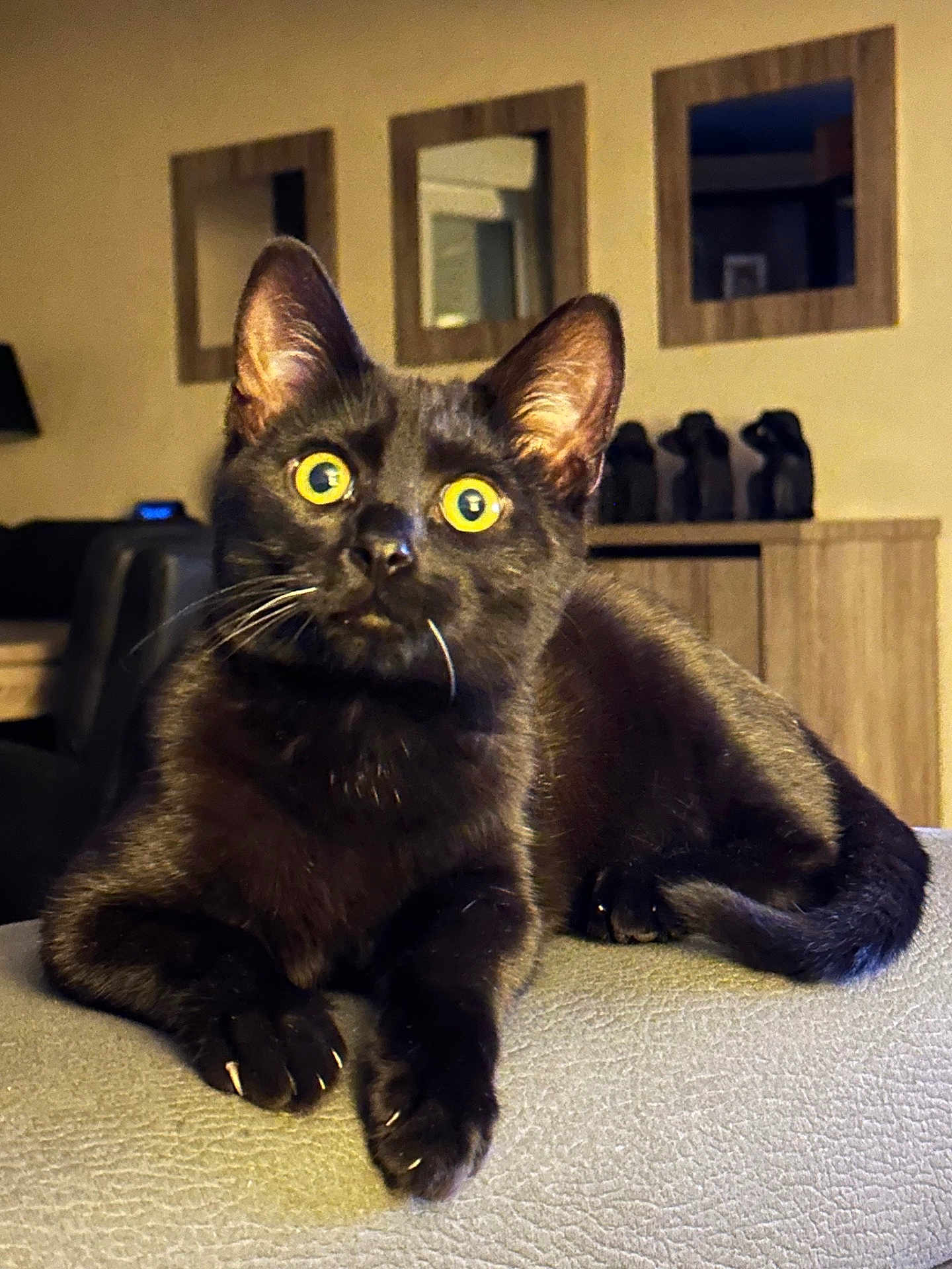 Salem