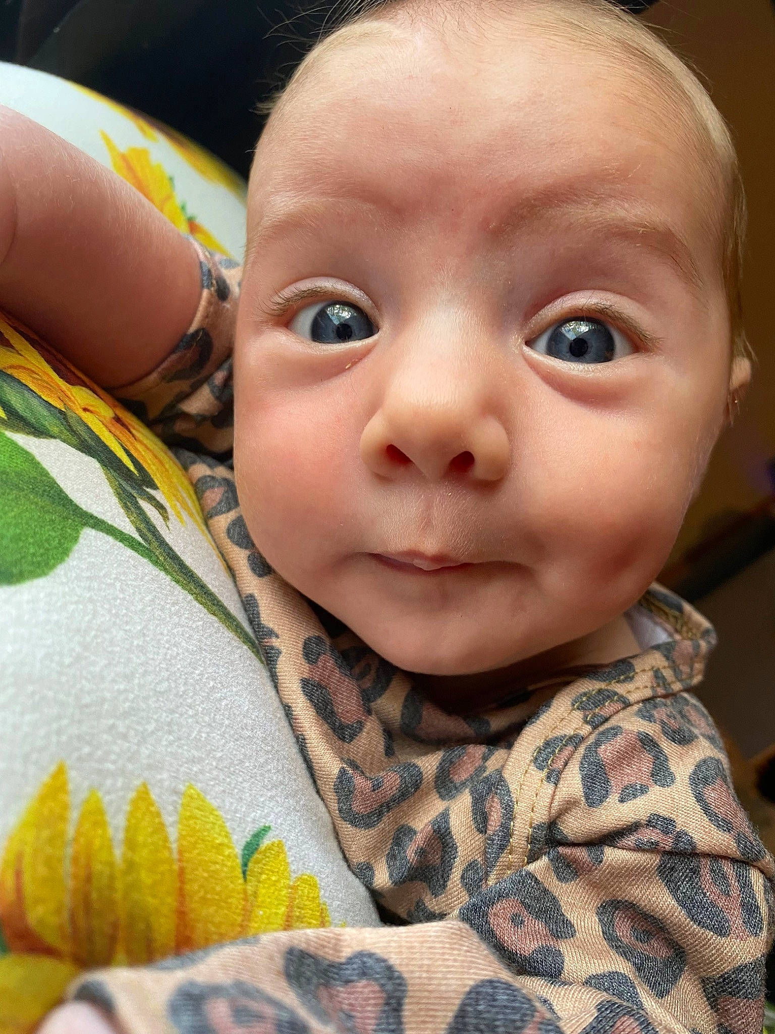 Vyolet Mays joined the competition — help win amazing prizes! baby, baby_products, baby_toddler_clothing, beauty, cheek, child, close_up, comfort, eyelash, grass, hairstyle, happy, iris, linens, nose, organ, pattern, person, product, skin