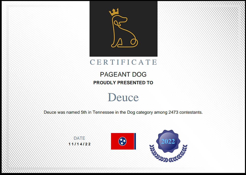 Deuce joined the competition — help win amazing prizes! advertising, brand, circle, diagram, electric_blue, font, graphic_design, graphics, label, logo, magenta, multimedia, parallel, rectangle, screenshot