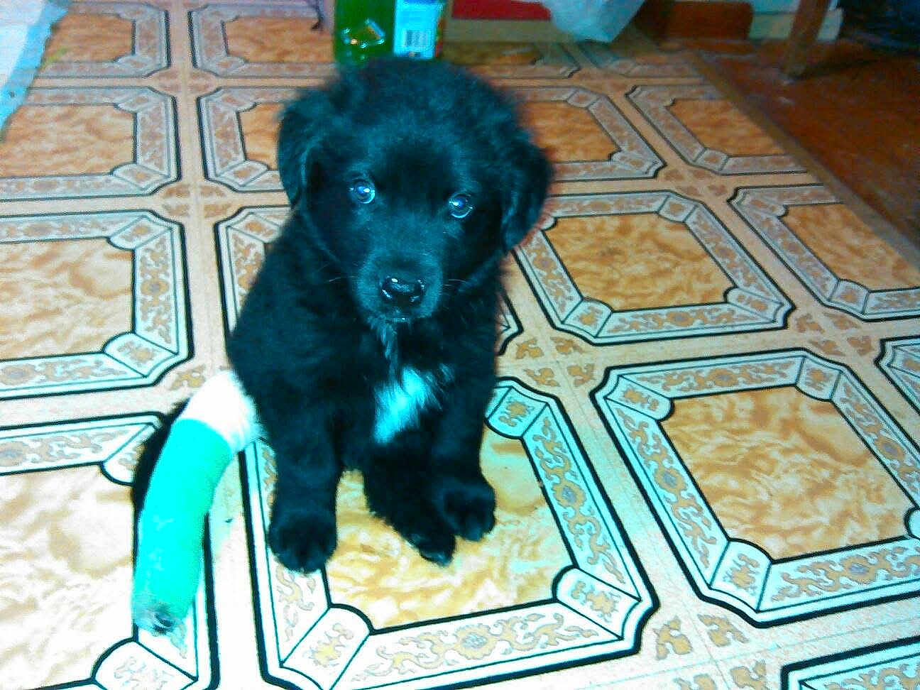Zeus