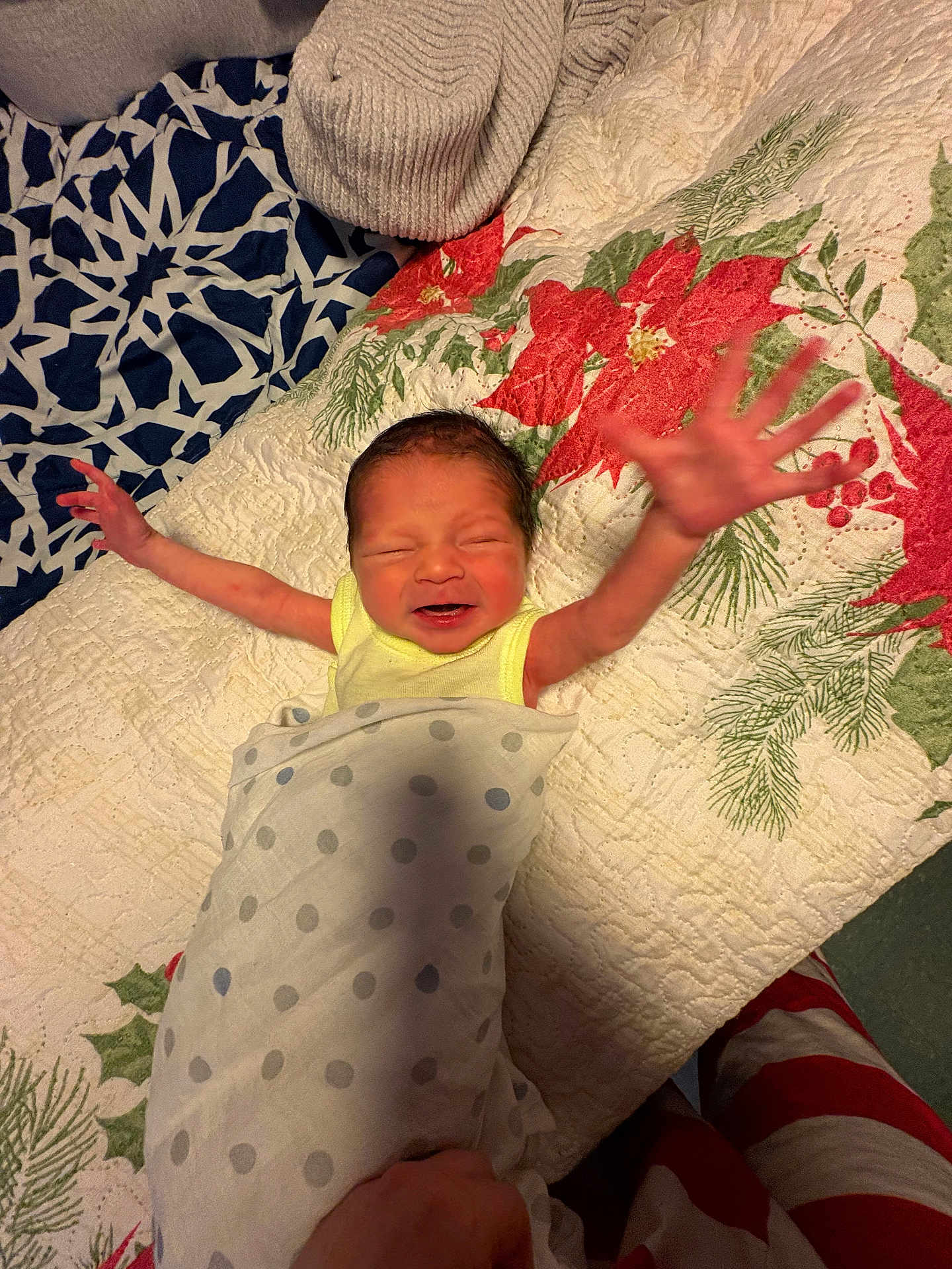 Beans joined the competition — help win amazing prizes! newborn, baby, infant, smile, arms_stretched, blanket, polka_dot, quilt, holiday_theme, red, green, yellow_clothing, happy, lying_down, hand, bed, fabric, pattern, indoors, person