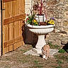Owen a rejoint le concours — aidez-le/la à gagner de superbes lots ! animal, courtyard, decorative_lantern, dog, flower, garden, grass, ground, outdoor, pet, pink_flower, planter, portrait, puppy, rustic, stone_wall, sunlight, urn, wooden_gate, yellow_flower