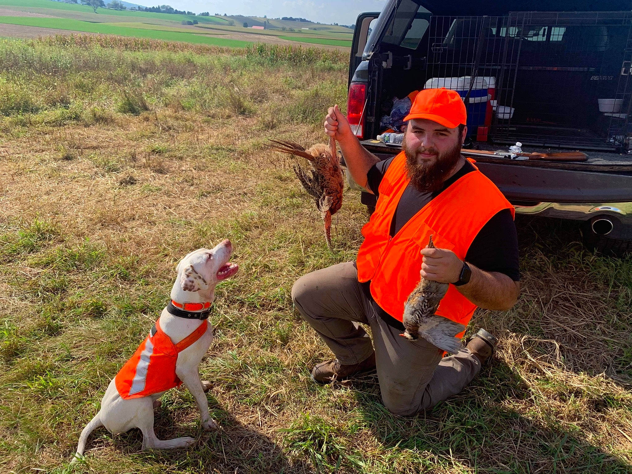 Duke is registered to the contest to win money with this photo: automotive_tire, car, carnivore, companion_dog, dog, dog_breed, grass, grassland, landscape, mammal, motor_vehicle, people_in_nature, plant, recreation, sky, soil, tire, tree, vehicle, vertebrate