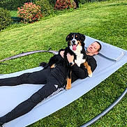 Nalla a rejoint le concours — aidez-le/la à gagner de superbes lots ! black_clothing, casual, daylight, dog, fence, garden, grass, greenery, hammock, happy_dog, lawn, leisure, man, nature, outdoor, pet, plants, relaxing, smiling, tongue_out
