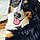 Nalla