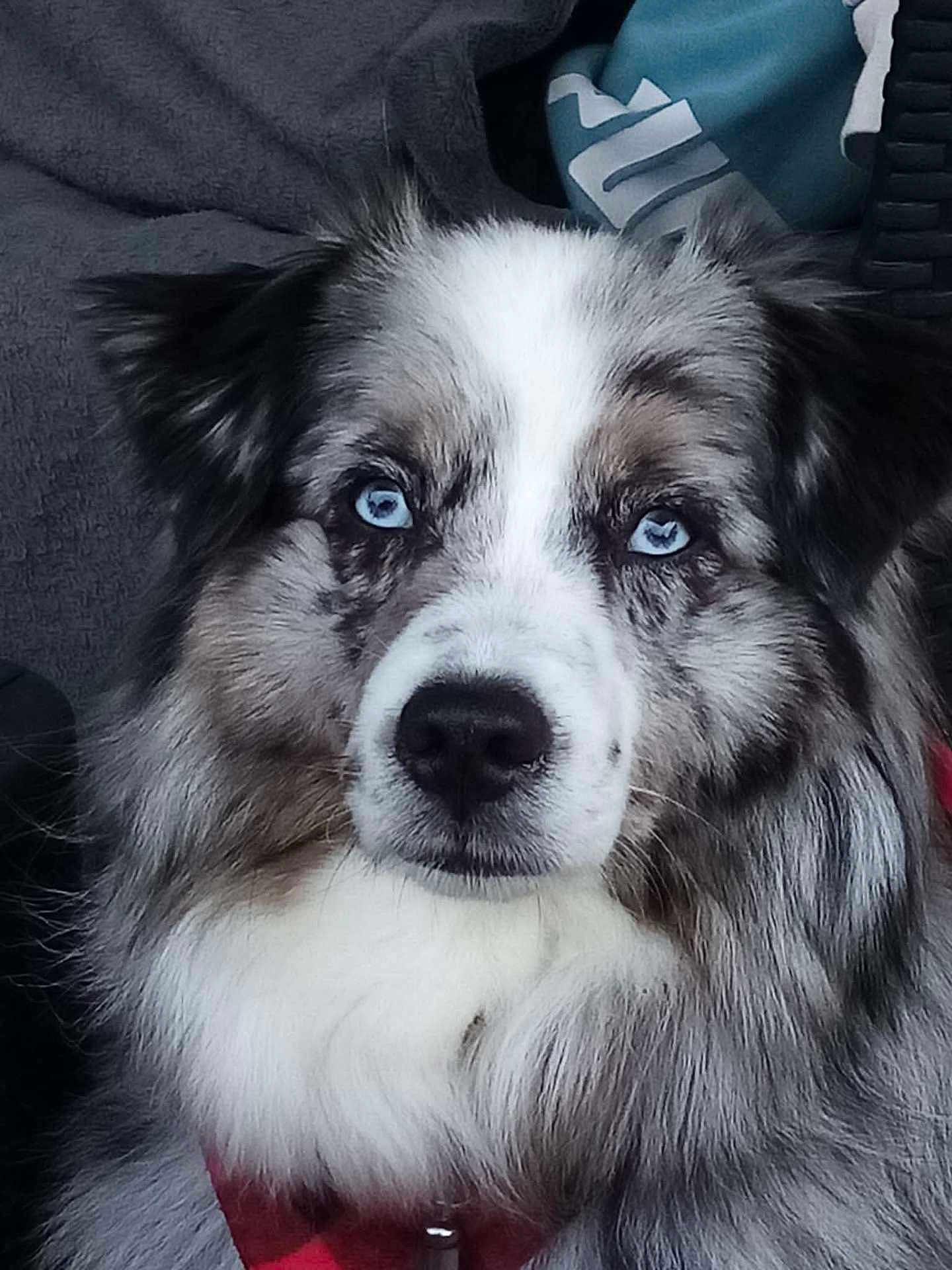 Pixel