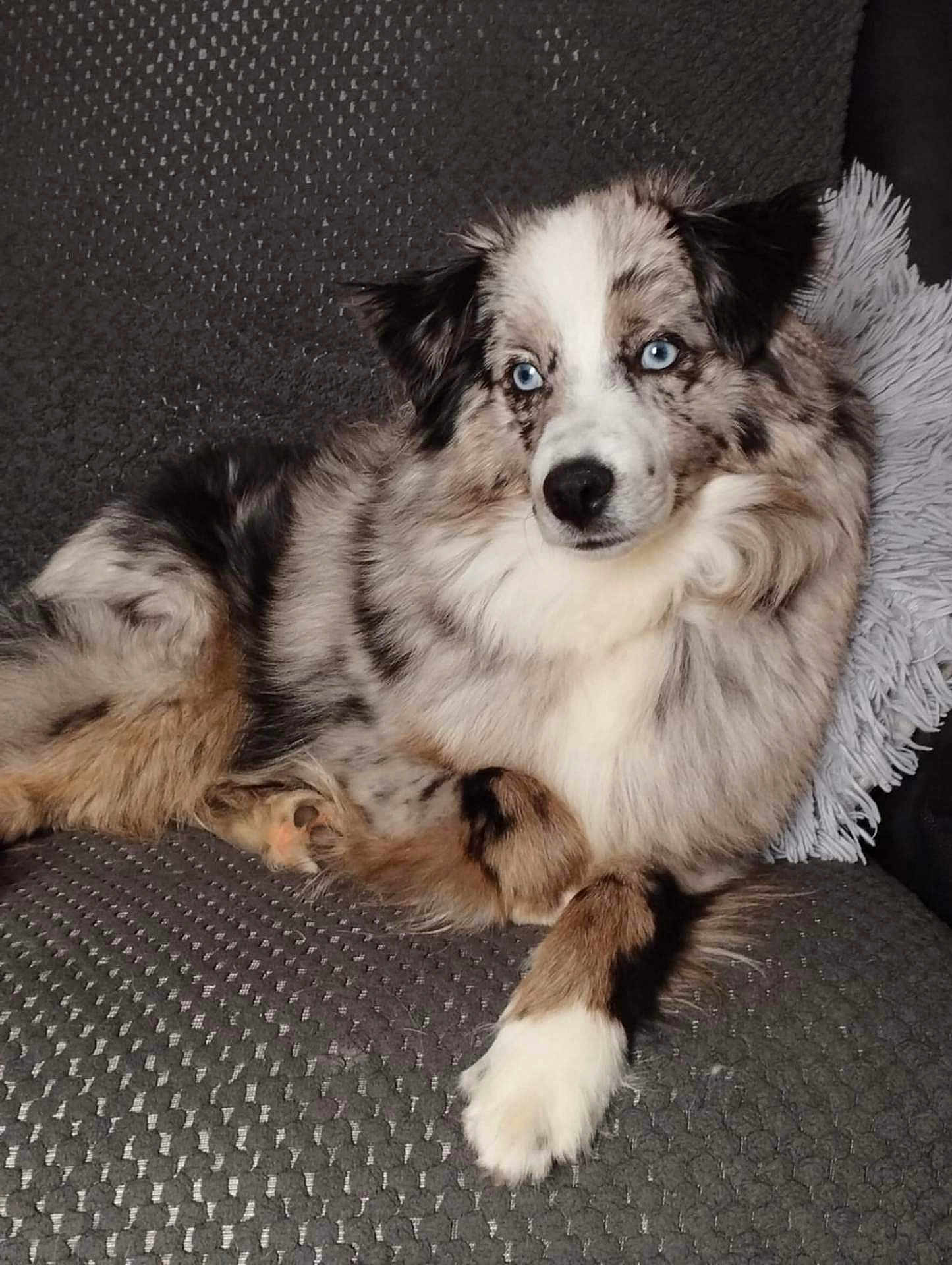 Pixel