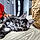 Baloo
