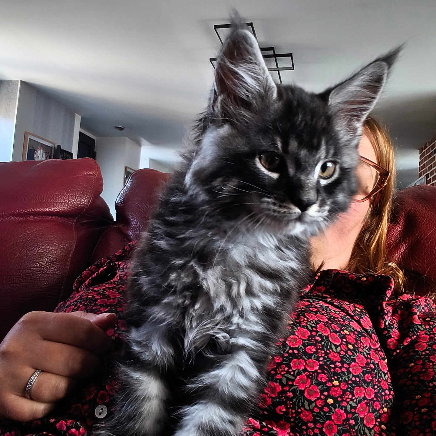 Baloo