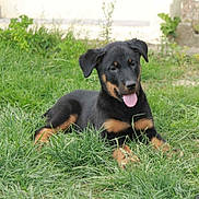 Indienne de Cheyenne participe au concours pour gagner de l'argent avec cette photo :