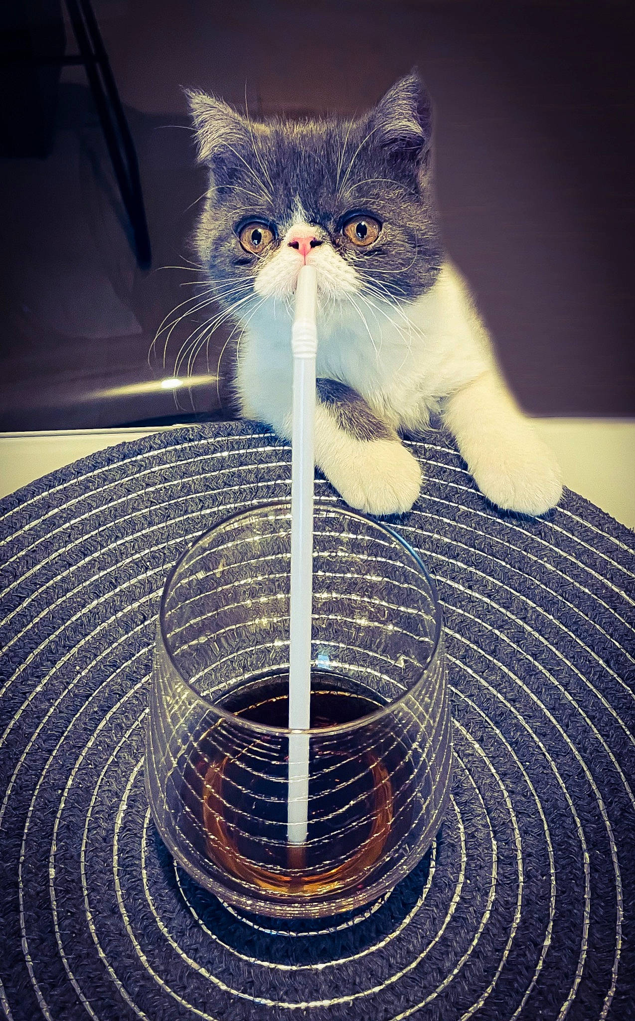 Swing participe au concours pour gagner de l'argent avec cette photo : black, carnivore, cat, circle, darkness, domestic_short_haired_cat, drinkware, electric_blue, felidae, flooring, fur, glass, illustration, light, line, pattern, small_to_medium_sized_cats, still_life_photography, tail, whiskers