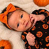 baby, infant, child, portrait, halloween, pumpkin, bow, headband, onesie, orange, black, blanket, lying_down, indoors, close_up, face, eyes, smiling, cozy, festive