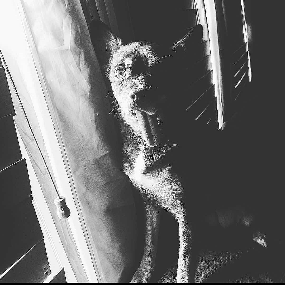 Pheobe joined the competition — help win amazing prizes! black_and_white, leg, monochrome, monochrome_photography, muscle, photograph, photography, portrait, room, window