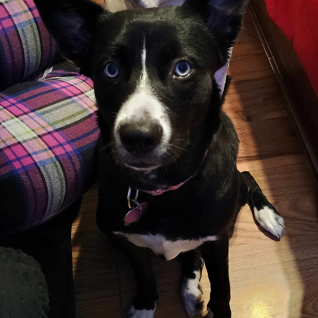 Skye