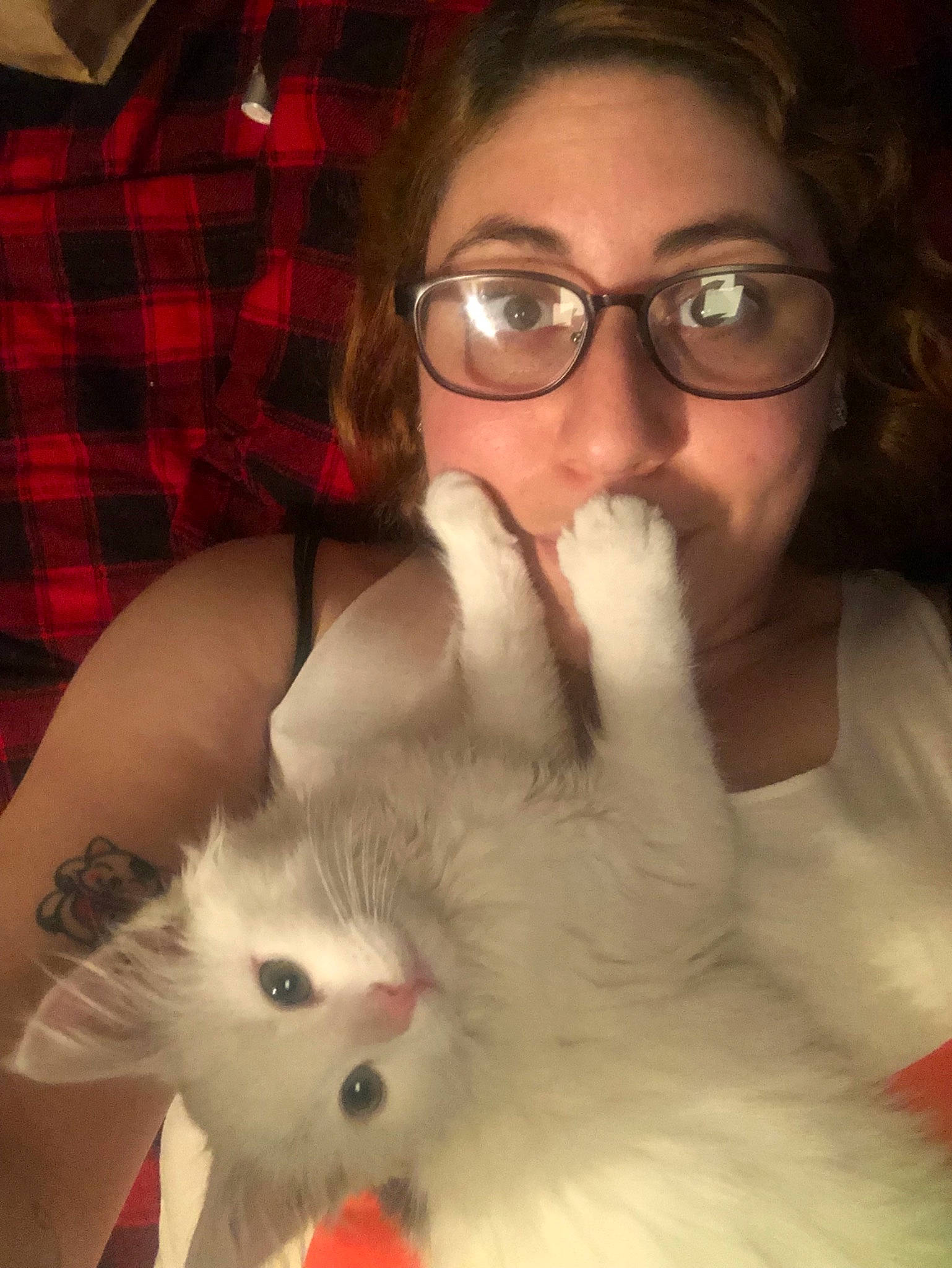 Flea is registered to the contest to win money with this photo: beard, carnivore, cat, ear, eye, eyebrow, face, facial_hair, felidae, fur, glasses, head, joy, lip, mouth, nose, person, selfie, skin, small_to_medium_sized_cats