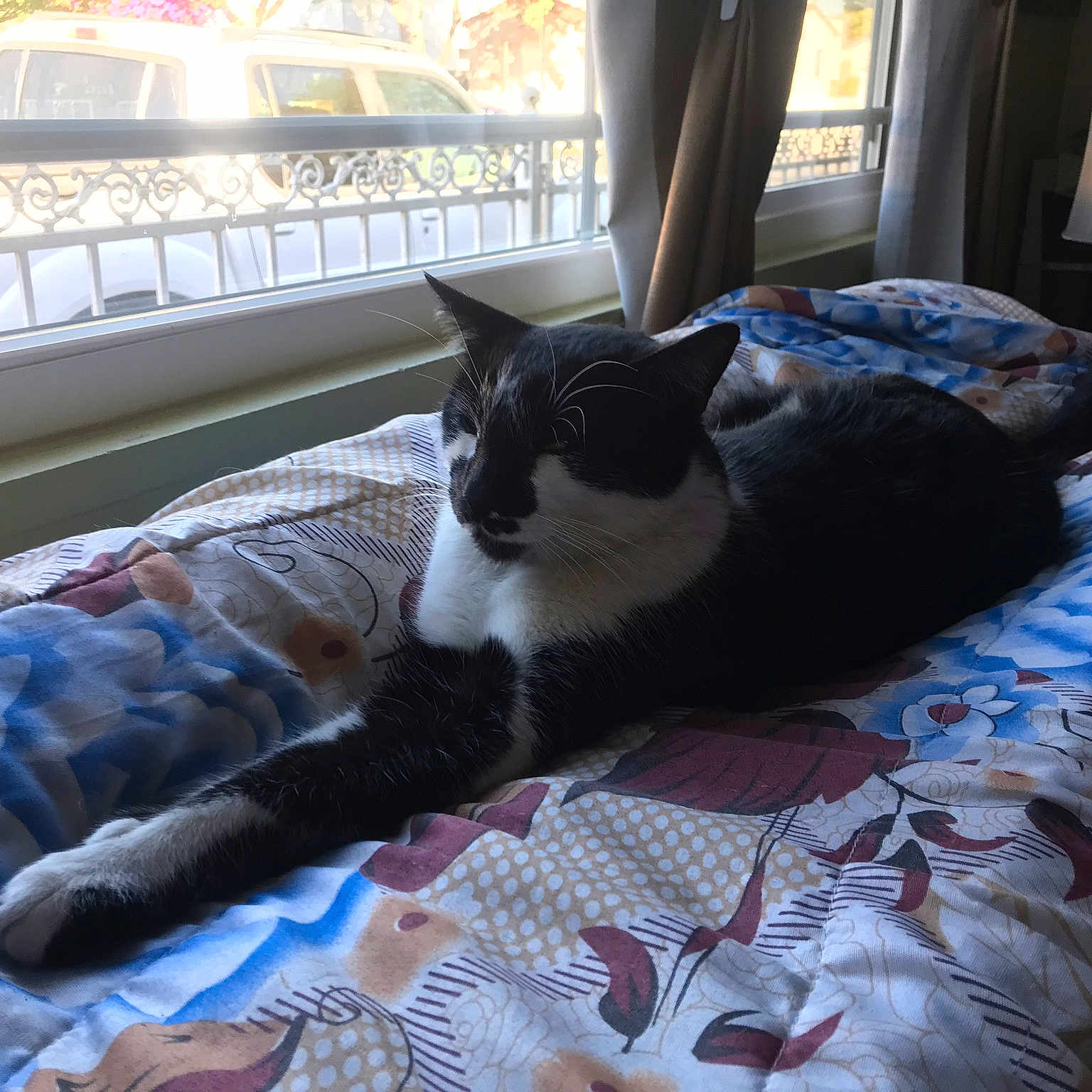 Binx
