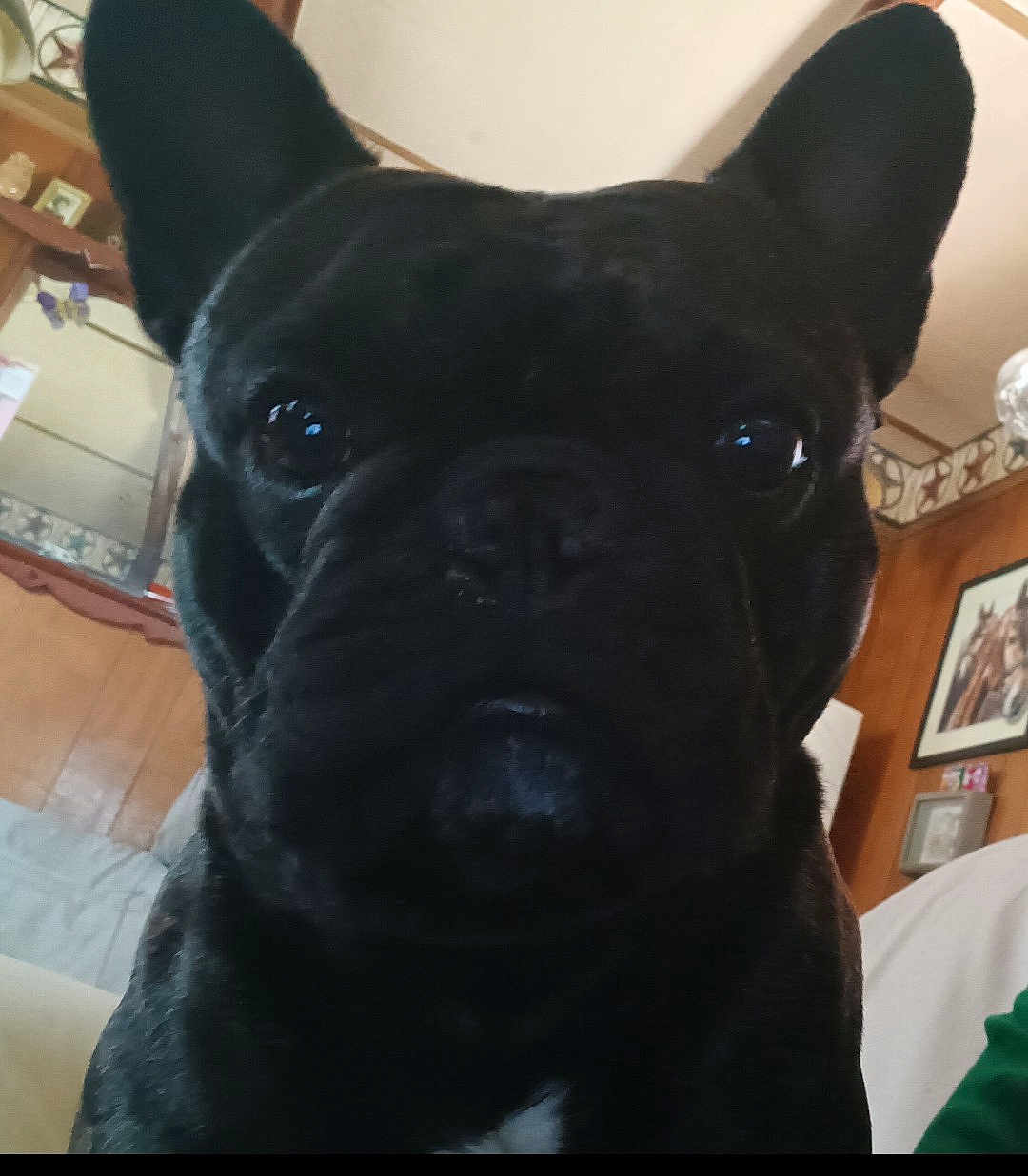 Charlie
