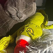 Ruby participe au concours pour gagner de l'argent avec cette photo : blanket, cat, closeup, cozy, cushion, cute, domestic_animal, feline, fur, gray_cat, indoor, nap, pet, plush_toy, resting, santa_hat, sleeping, soft_texture, whiskers, yellow_toy