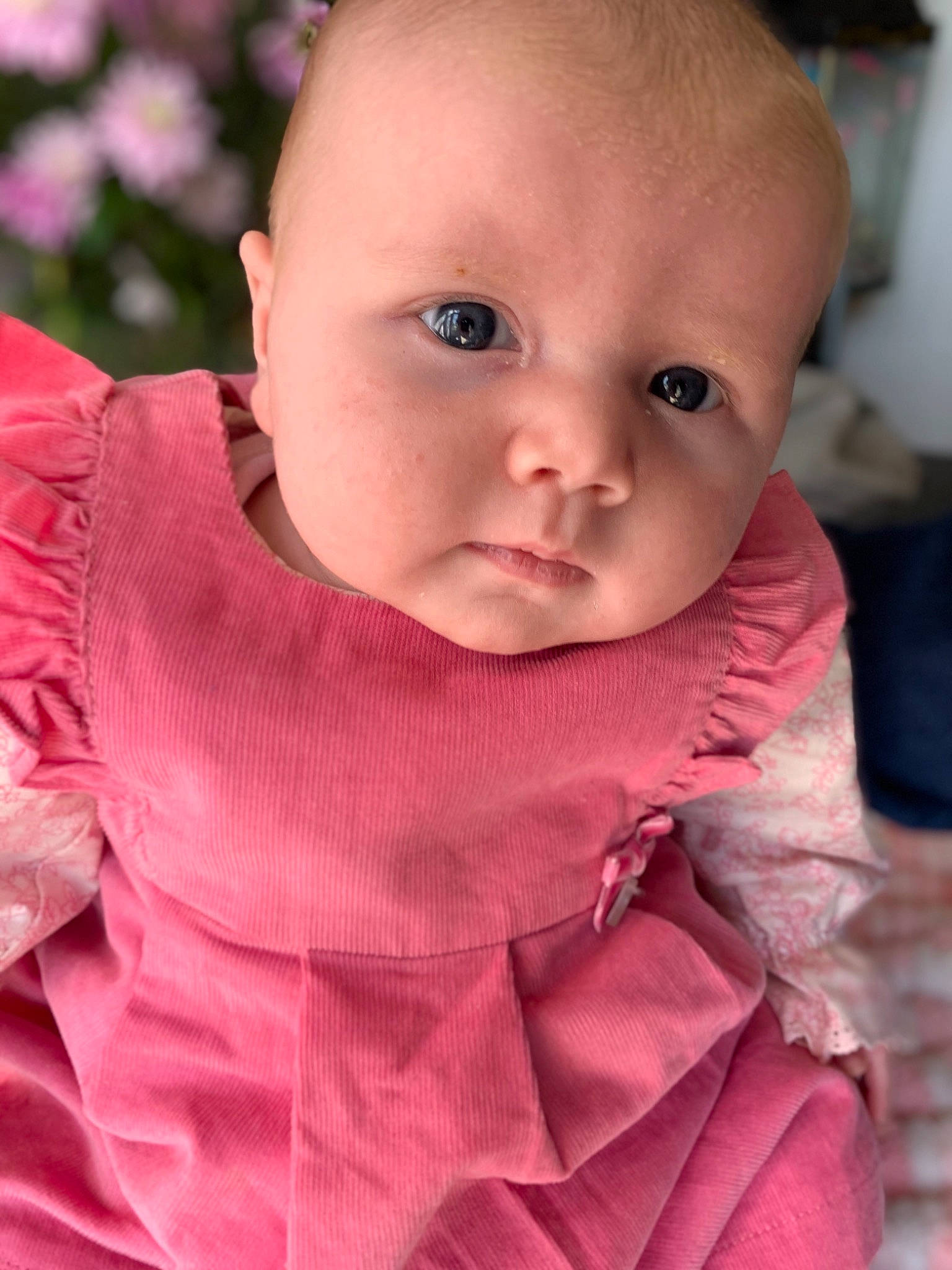 Heidi-mae is registered to the contest to win money with this photo: baby, baby_toddler_clothing, cheek, child, chin, collar, comfort, dress, facial_expression, happy, iris, linens, lip, mouth, neck, nose, person, pink, skin, sleeve