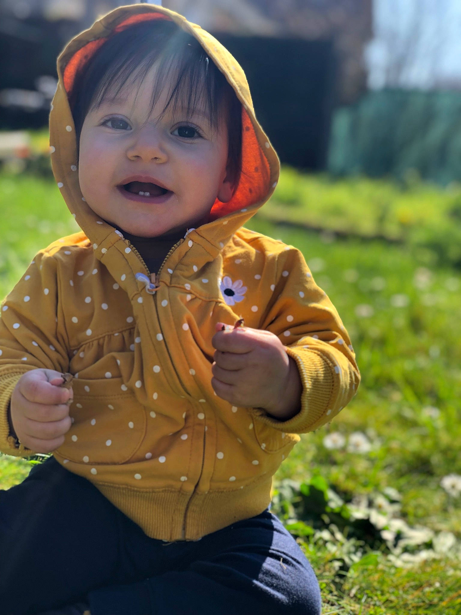 Shama participe au concours pour gagner de l'argent avec cette photo : baby, blond, child, fun, grass, grassland, hairstyle, happy, jacket, landscape, leisure, people_in_nature, person, plant, portrait_photography, sitting, sleeve, smile, soil, toddler