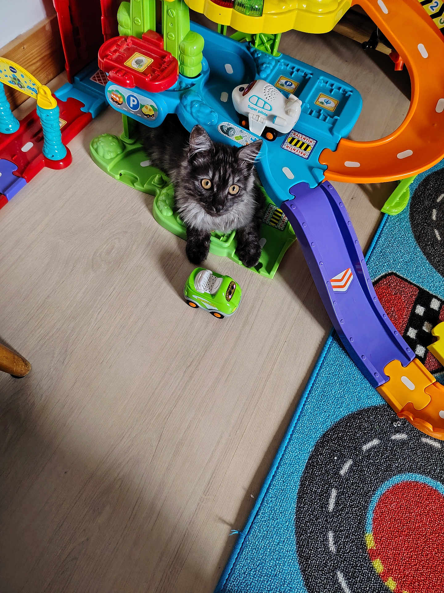 Ulysse participe au concours pour gagner de l'argent avec cette photo : kitten, cat, toy, race_track, car_toy, play_mat, floor, colorful, indoor, pet, curious, black_cat, gray_cat, yellow_eyes, plastic_toy, childrens_toy, wood_floor, purple_ramp, blue_rug, orange_ramp