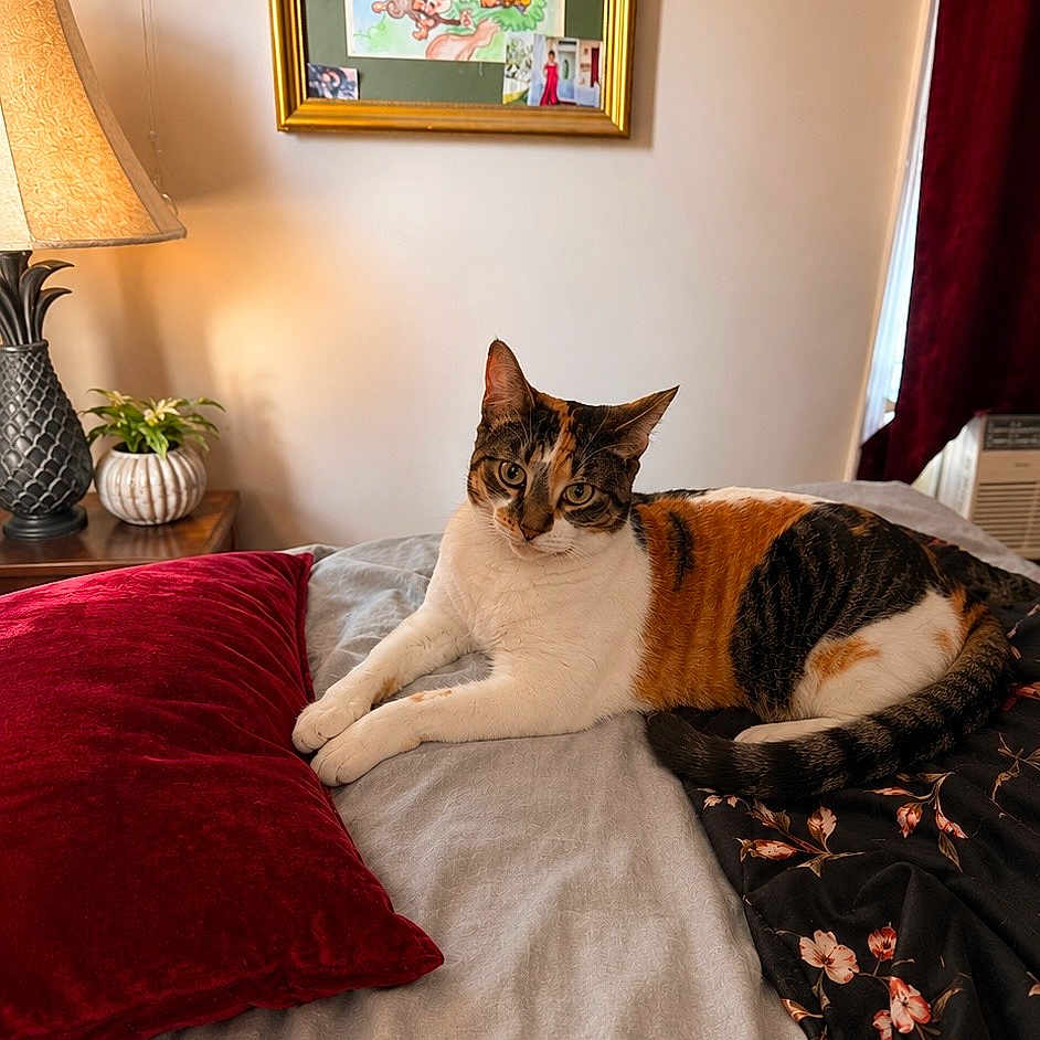 Bella