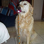 Elwa participe au concours pour gagner de l'argent avec cette photo :