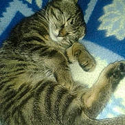 Athéna a rejoint le concours — aidez-le/la à gagner de superbes lots !