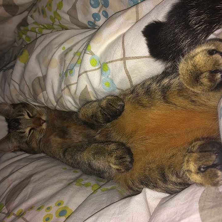 Cleo is registered to the contest to win money with this photo: