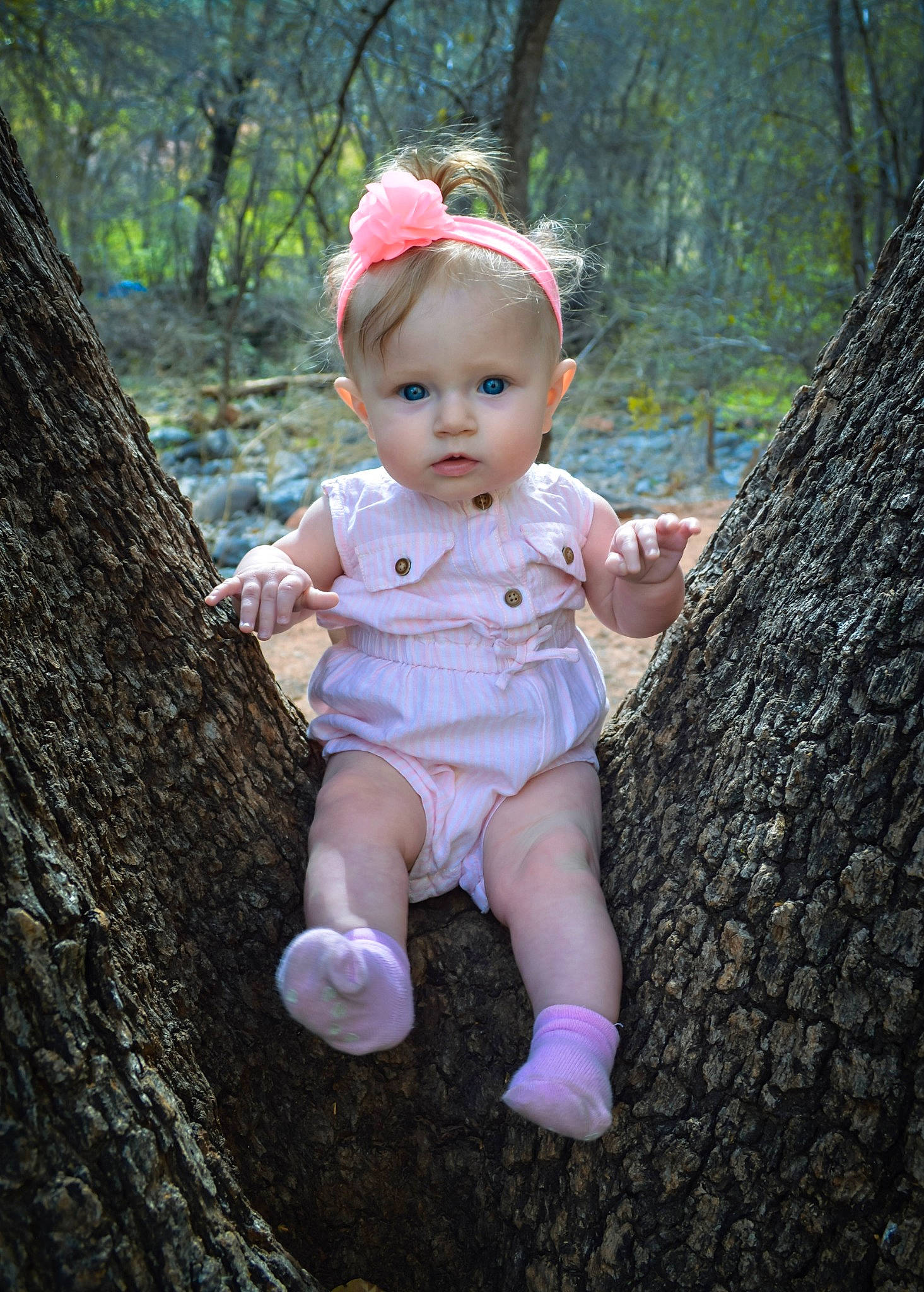 Madeleine joined the competition — help win amazing prizes! baby, child, doll, fawn, person, pink, plant, play, skin, smile, toddler, tree, trunk