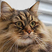 Urkan participe au concours pour gagner de l'argent avec cette photo :