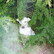 Flutsi participe au concours pour gagner de l'argent avec cette photo :