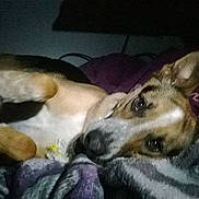 Pinky Winky participe au concours pour gagner de l'argent avec cette photo :