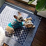 Pepper is registered to the contest to win money with this photo: animal, blue_rug, cute, dog, door, french_bulldog, home, indoor, pet, plant_leaf, playful, plush_toy, puppy, rug, shadow, small_dog, sports_jersey, sunlight, toy, wood_floor