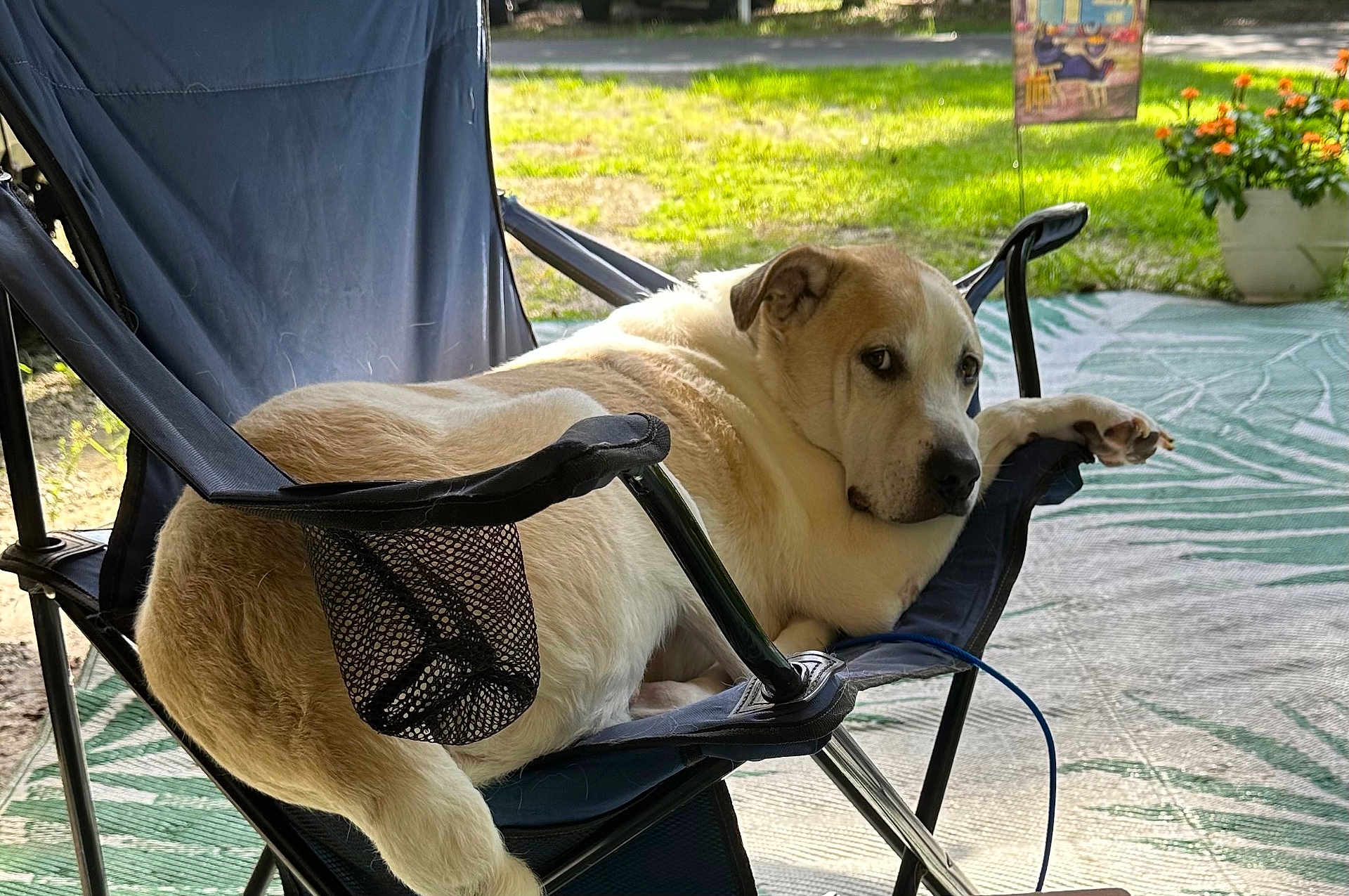Max