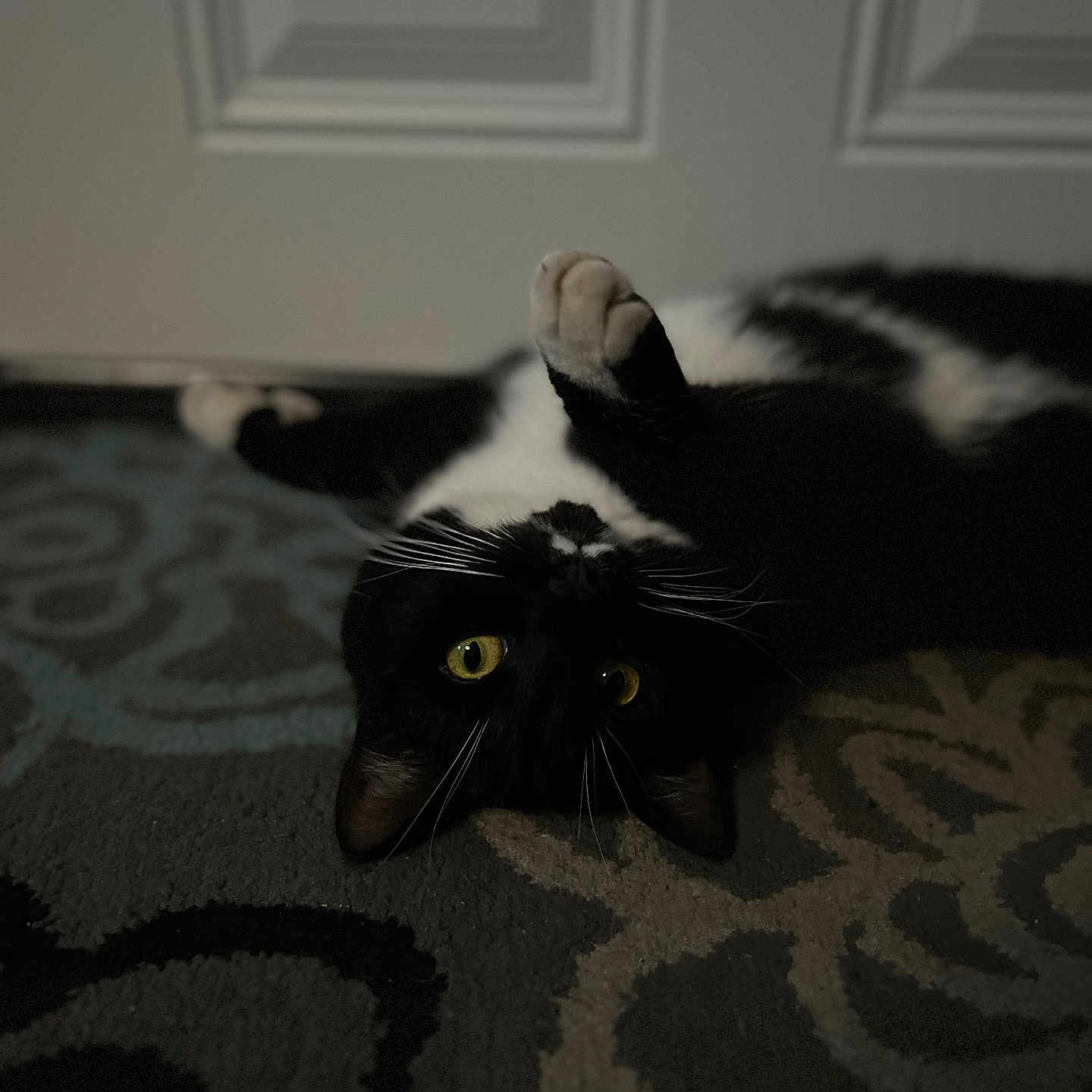Bandit