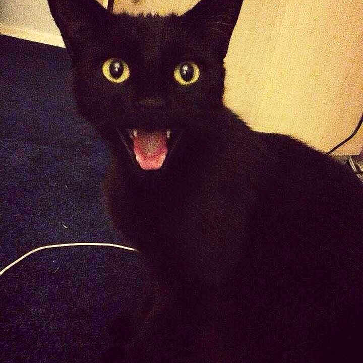 Spud is registered to the contest to win money with this photo: