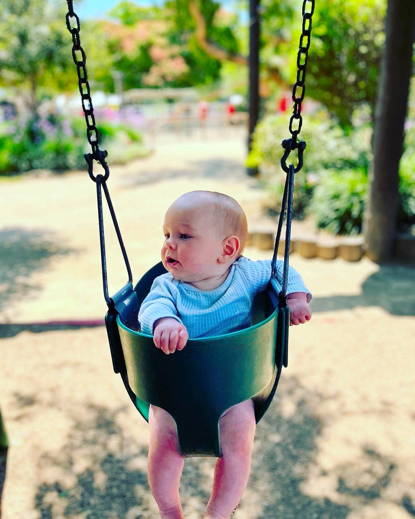 Cameron joined the competition — help win amazing prizes! baby, baby_toddler_clothing, beauty, black, child, electric_blue, fun, grass, happy, leisure, person, photograph, plant, playground, recreation, sleeve, snapshot, swing, toddler, tree